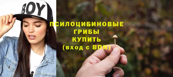 герыч Алексин