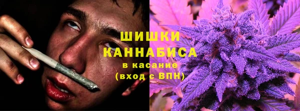 apvp Алзамай