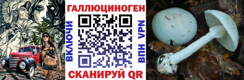 Псилоцибиновые грибы мицелий  купить наркоту  Ипатово 